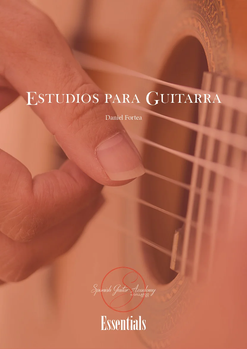 Daniel Fortéa - Estudios de guitarra