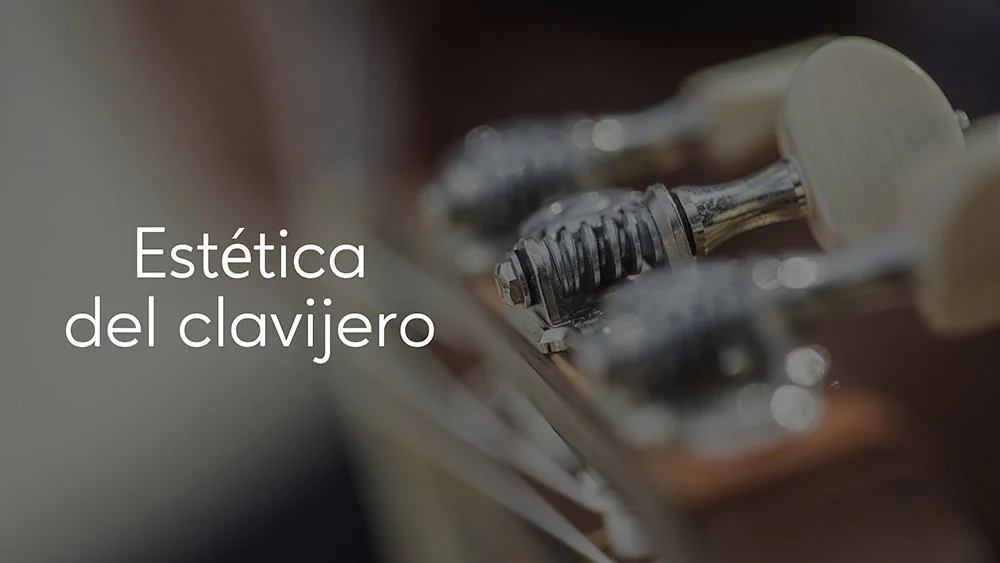 Estética del clavijero