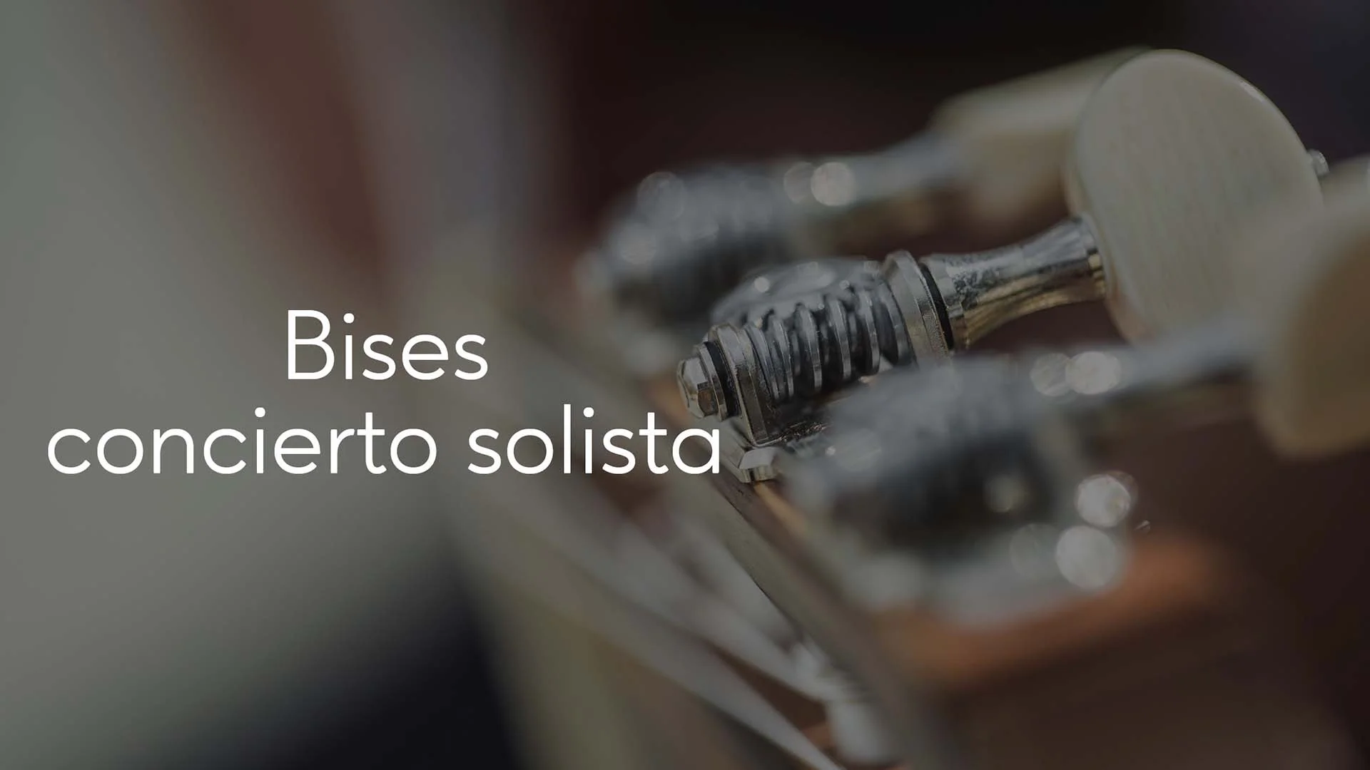 Bises concierto solista