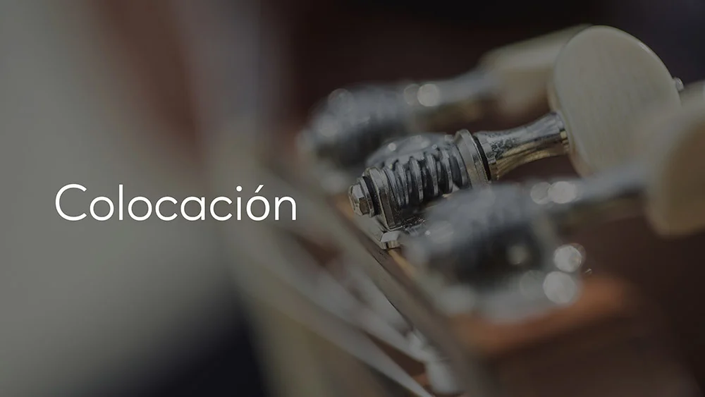 Colocación