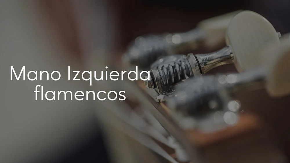 Mano izquierda flamencos